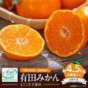 【ふるさと納税】【2025年先行予約】和歌山県産 有田みかん 化粧箱入り 4.5kg Sサイズ【まごころ手選別】【ミカン 蜜柑 温州みかん 柑橘 和歌山 ギフト 贈答】(4)