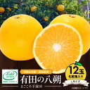 【ふるさと納税】【限定】【2026年先行予約】 和歌山県産 有田の 八朔 (はっさく) 化粧箱入り Lサイズ 12個入り【まごころ手選別】【はっさく ハッサク 八朔 和歌山産 ギフト 贈答】