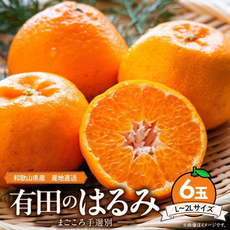 【ふるさと納税】【先行予約】和歌山県産 有田の はるみ 6玉 (L～2Lサイズ)【まごころ手選別】【ハルミ 春見 ミカン 蜜柑 柑橘 和歌山 有田】のサムネイル
