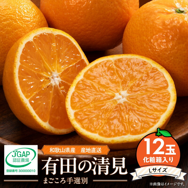 【ふるさと納税】【2026年先行予約】和歌山県産 有田の 清見 化粧箱入り Lサイズ 12個入り(まごころ手選別)