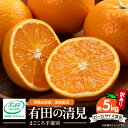 【ふるさと納税】【限定】【2026年先行予約】 清見 オレンジ 訳あり 家庭用 5kg 2S 〜 2L サイズ混合 まごころ手選別 和歌山県産 有田 温州みかん...