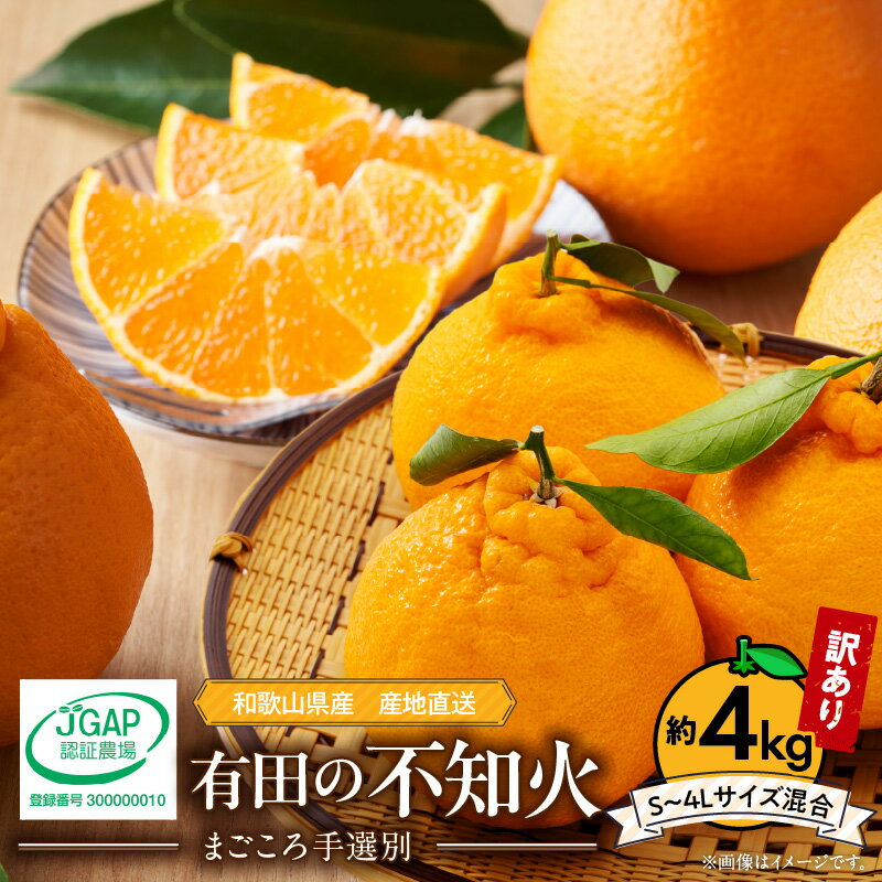 【ふるさと納税】和歌山県産 有田の 不知火(しらぬひ) 【訳あり 家庭用】 4kg (S～4Lサイズ混合) 【まごころ手選別】【でこぽん デコポン しらぬい 不知火 柑橘】