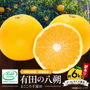 【ふるさと納税】【限定】【2026年先行予約】 和歌山県産 有田の 八朔 (はっさく) 【訳あり 家庭用】 6kg(S〜4Lサイズ混合)【まごころ手選別】【はっ...