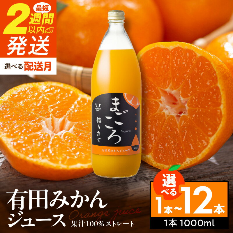 【ふるさと納税】「まごころ」有田みかん 100％ ジュース 1000ml 6本 セット【和歌山 ミカンジュース ストレート 果汁100%】のサムネイル