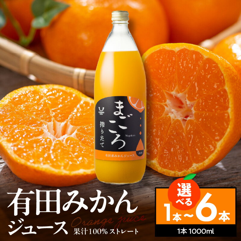 【和歌山の飲み物】和歌山でしか買えないなど！和歌山の人気ドリンクは？