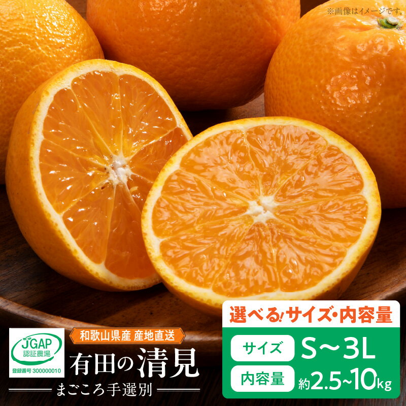 [2026年先行予約] 和歌山県産 有田の 清見 サイズ 容量 選べる S~3L 2.5kg~10kg サイズ混合(まごころ手選別)