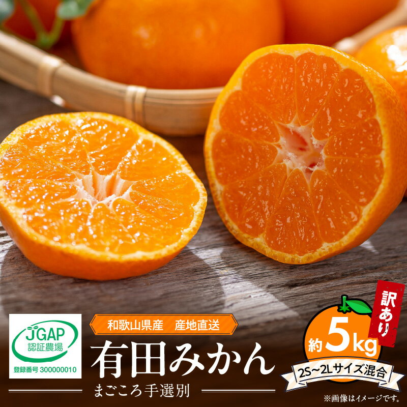 【ふるさと納税】【限定】 【先行予約】和歌山県産 有田みかん 【訳あり 家庭用】 5kg (2S～2Lサイズ混合)【まごころ手選別】【ミカン 蜜柑 温州みかん 柑橘 和歌山】のサムネイル