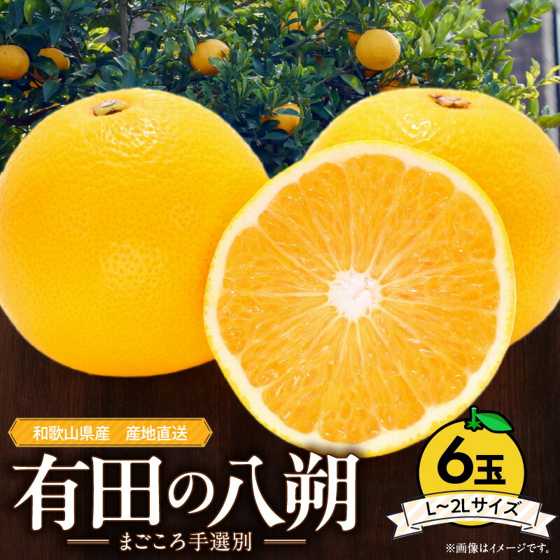 16位! 口コミ数「2件」評価「5」【先行予約】和歌山県産 有田の 八朔 (はっさく) 6玉 L～2Lサイズ【まごころ手選別】【はっさく ハッサク 八朔 和歌山産】