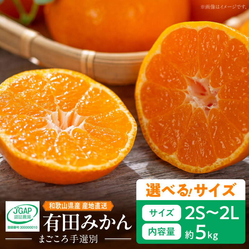 【ふるさと納税】【限定】 和歌山県産 有田みかん 5kg 選べるサイズ 2S 〜 2Lサイズ【まごころ手選別】【ミカン 蜜柑 温州みかん 柑橘 和歌山】
