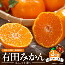 5位! 口コミ数「481件」評価「4.1」【先行予約】和歌山県有田産 有田みかん 3kg (2S～Lサイズ混合)【まごころ手選別】【ミカン 蜜柑 温州みかん 柑橘 和歌山】