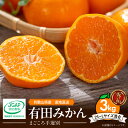 8位! 口コミ数「481件」評価「4.1」【先行予約】和歌山県有田産 有田みかん 3kg (2S～Lサイズ混合)【まごころ手選別】【ミカン 蜜柑 温州みかん 柑橘 和歌山】