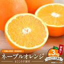 【ふるさと納税】【限定】【2026年先行予約】和歌山県産 ネーブルオレンジ 【訳あり 家庭用】3kg サイズ混合【まごころ手選別】