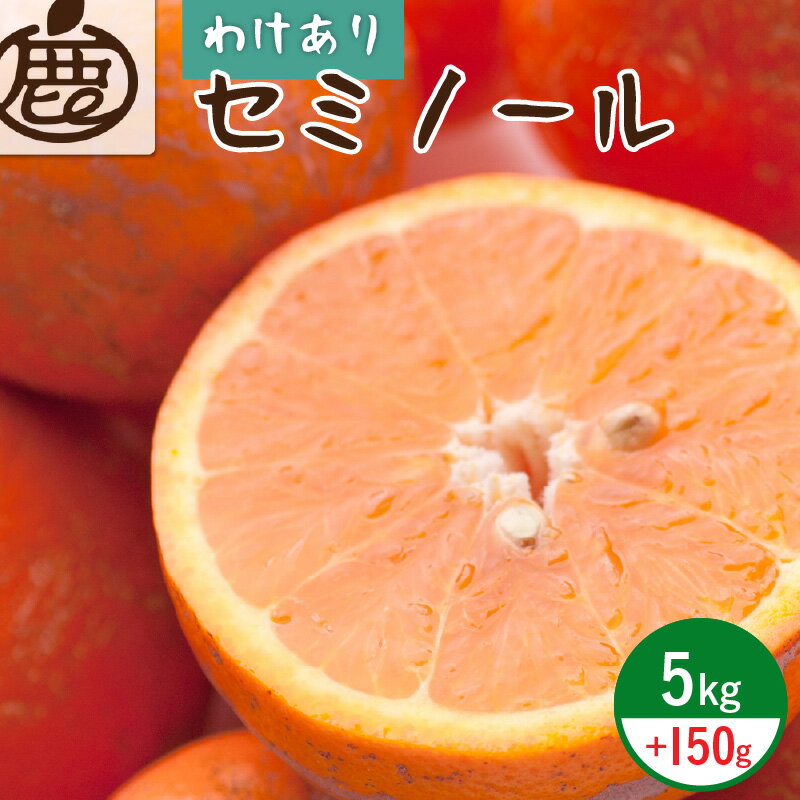 訳あり セミノールオレンジ 5kg 150g 家庭用 春みかん 光センサー 熟成 果汁たっぷり 甘酸っぱい もぎたての味 農家直送 ミックスジュース 果物 フルーツ 食べ物 お取り寄せ 有田産 和歌山県 湯浅町 送料無料