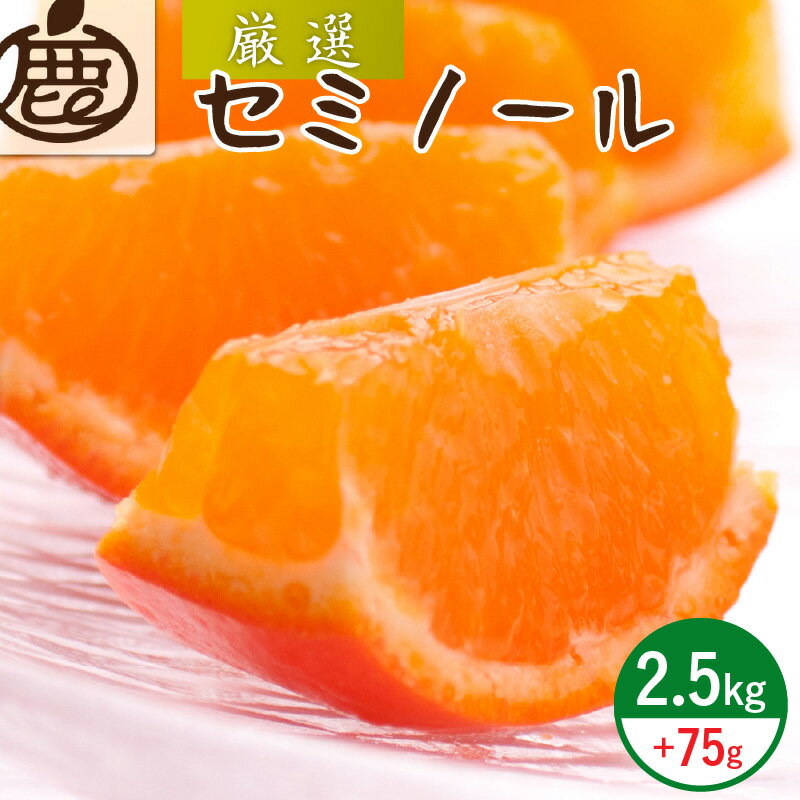 セミノールオレンジ 厳選 2.5kg 75g 光センサー 熟成 果汁たっぷり 甘酸っぱい もぎたての味 農家直送 ミックスジュース 果物 フルーツ 食べ物 お取り寄せ 有田産 和歌山県 湯浅町 送料無料