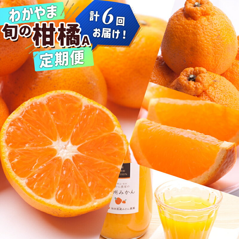 【ふるさと納税】【限定】 季節の柑橘定期便A【全6回】【和歌山県有田】のサムネイル