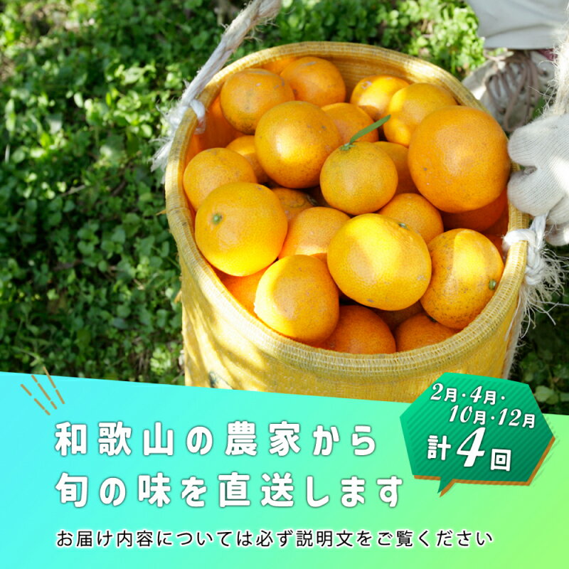 【ふるさと納税】【限定】 季節の柑橘定期便A 全4回 有田みかん 不知火 せとか はっさく ポンカン 清見 オレンジ 津之輝 さつき八朔 極早生みかん 完熟みかん みかん 柑橘類 旬 フルーツ 果実 果肉 果物 果汁 濃縮 濃厚 お取り寄せ 和歌山県 有田 湯浅町 送料無料