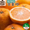 【ふるさと納税】【限定】 <4月より発送>家庭用 甘夏柑5kg+150g(傷み補償分)【初夏のみかん】【有田産】【わけあり・訳あり】