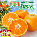 9位! 口コミ数「64件」評価「3.67」【先行予約】【ご家庭用】和歌山 有田みかん 約10kg (SS、Sサイズ)【湯浅町】【ミカン 蜜柑 柑橘 温州みかん 有田みかん 和歌山 有･･･ 