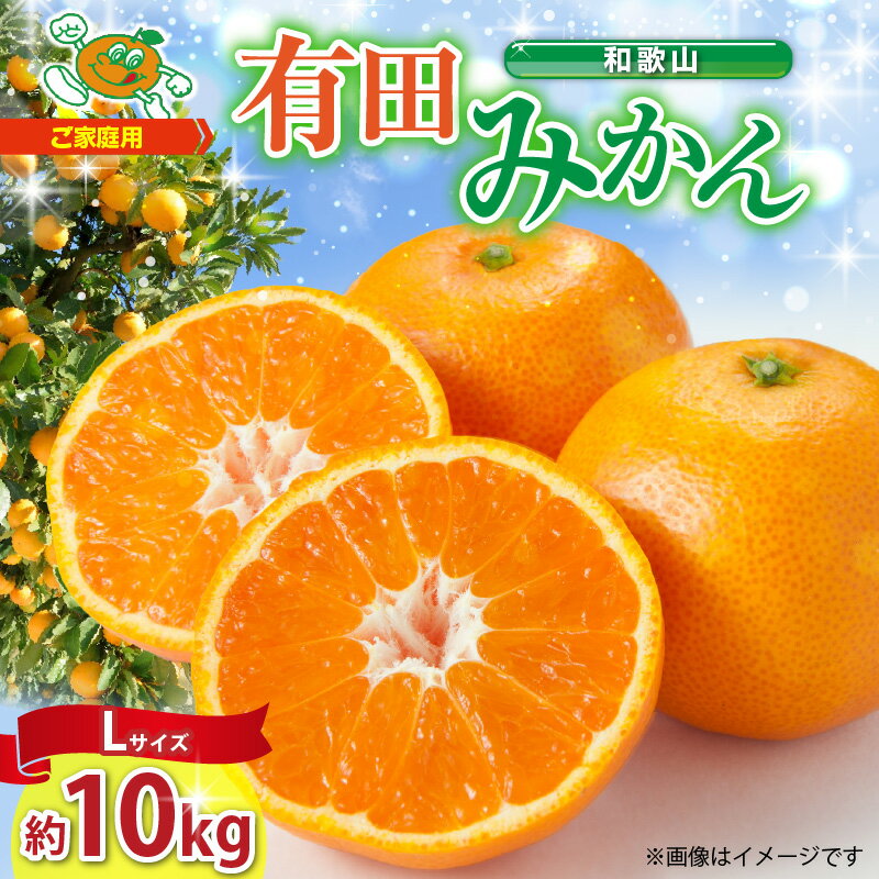 【ふるさと納税】【先行予約】【ご家庭用】和歌山 有田みかん 約10kg Lサイズ【湯浅町】【ミカン 蜜柑 柑橘 温州みかん 和歌山 有田 大粒】