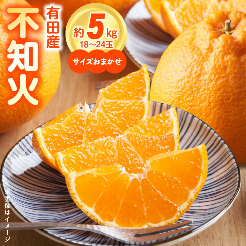 【ふるさと納税】【限定】【2026年