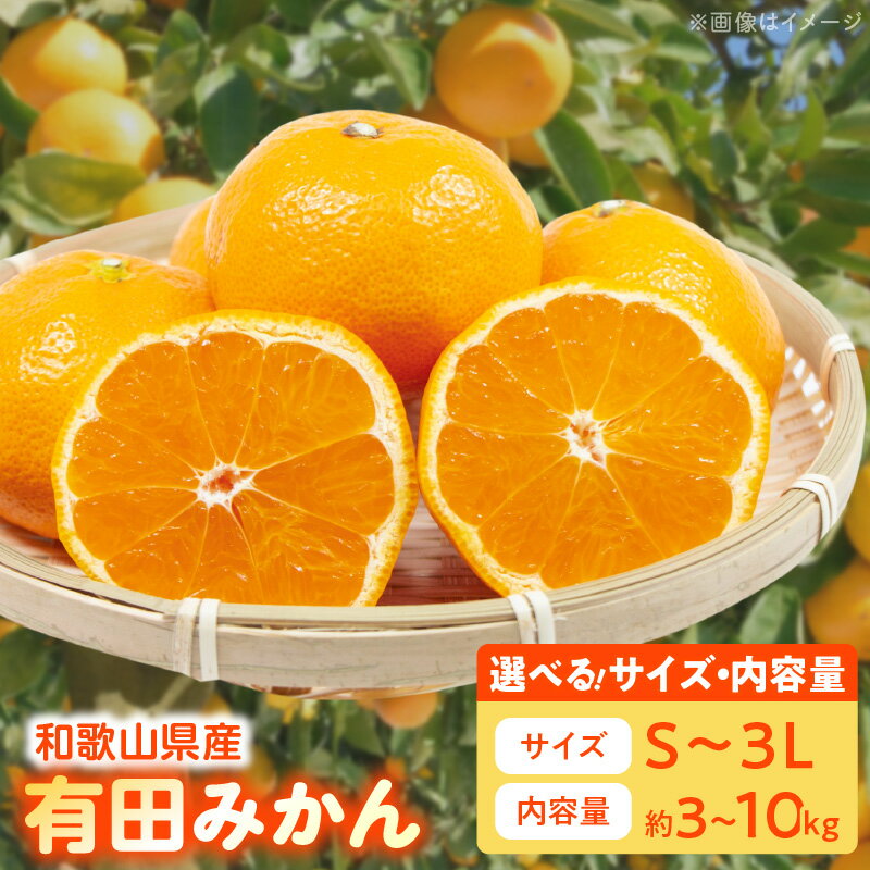 【ふるさと納税】【限定】【TVで紹