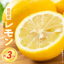 【ふるさと納税】【限定】【2026年先行予約】 和歌山県 有田産 レモン 3kg【国産 レモン 柑橘 フルーツ 和歌山】