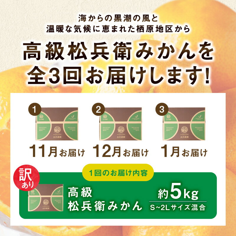 【ふるさと納税】松兵衛みかん ご家庭用 定期便 約 5kg × 3回 合計 15kg S ～ 2L 訳あり サイズ混合 発送月固定 こだわり コク 酸味 バランス 柑橘 みかん フルーツ 果物 果実 産地直送 お取り寄せ お取り寄せフルーツ 和歌山県 湯浅町 送料無料