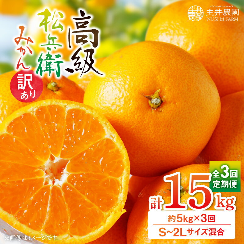 楽天市場】ふるさと納税 鈴木農園(みかん|フルーツ・果物 楽天市場】ふるさと納税 鈴木農園(みかん|フルーツ・果物