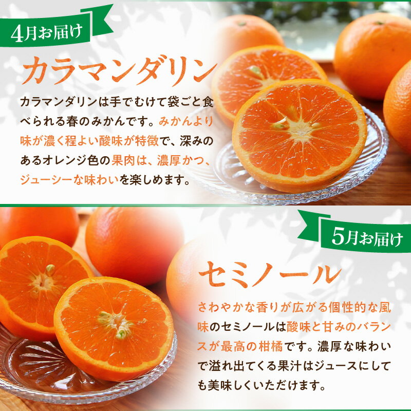 【ふるさと納税】開田ぶどう園　甲斐路　2kg（茨城県共通返礼品・石岡市産）