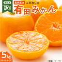 【ふるさと納税】【2025年先行予約】【限定】 【TVで紹介されました】こだわりの 有田みかん 【訳あり 家庭用】 5kg 藤秀園 和歌山 有田 温州みかん み...
