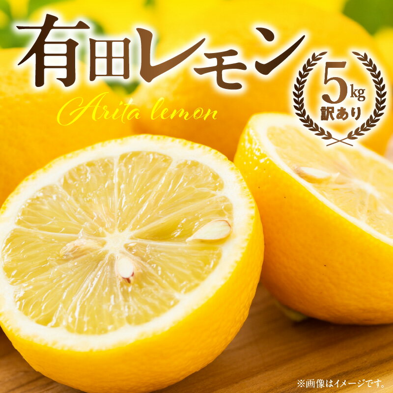 【ふるさと納税】国産有田レモン約5kg【訳あり 家庭用】【国産 レモン 柑橘 フルーツ 和歌山】のサムネイル