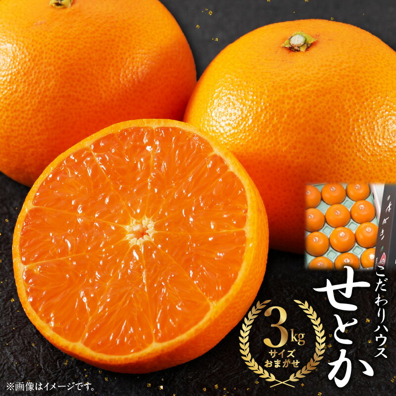 【ふるさと納税】高評価★5 せとか 約 3kg L ～ 3Lサイズ おまかせ ハウスせとか みかん フルーツ 果物 柑橘 果実 甘い 濃厚 ジューシー フルーティー 国産 食品 食べ物 マルユー園 お取り寄せ 和歌山県 湯浅町 送料無料のサムネイル