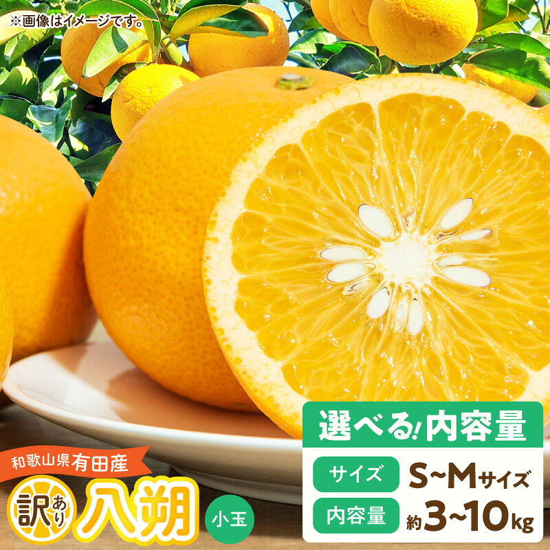 【ふるさと納税】【2027年先行予約】 はっさく 小玉 訳あり 選べる 内容量 3kg 5kg 10kg サイズ S〜M 和歌山県有田産 完熟 甘み 増す デザート おやつ 果物 柑橘 お取り寄せ 和歌山県 湯浅町 送料無料