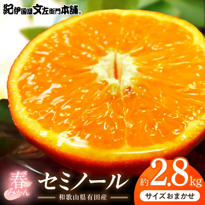 【2027年先行予約】 セミノール オレンジ 約2.8kg 和歌山県有田産 春みかん (果実サイズおまかせ) 春柑橘 紀伊国屋文左衛門本舗