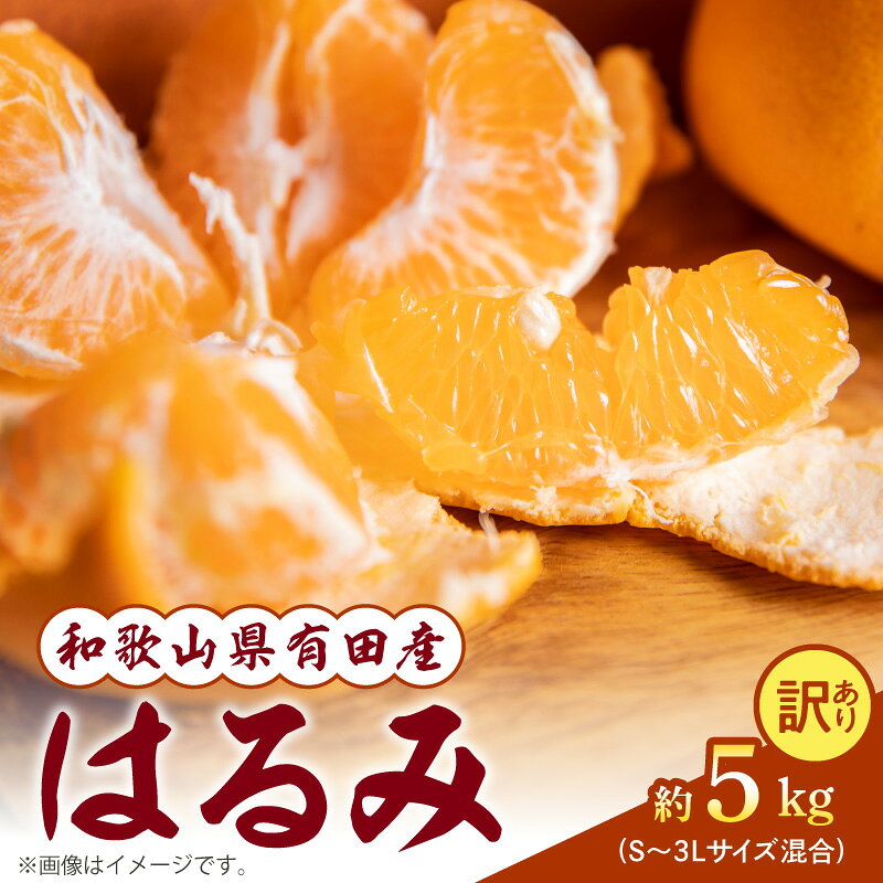 和歌山県有田産 はるみ 約5kg 【訳あり ・家庭用】【ハルミ 春見 ミカン 蜜柑 柑橘 和歌山 有田】