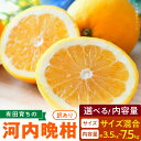 【ふるさと納税】【2026年先行予約】有田育ちの 河内晩柑 【訳あり 家庭用】3.5~7.5kg 選べる内容量 (サイズ混合)【ミカン 蜜柑 灘オレンジ サウスオレンジ 柑橘 フルーツ 和歌山 有田】