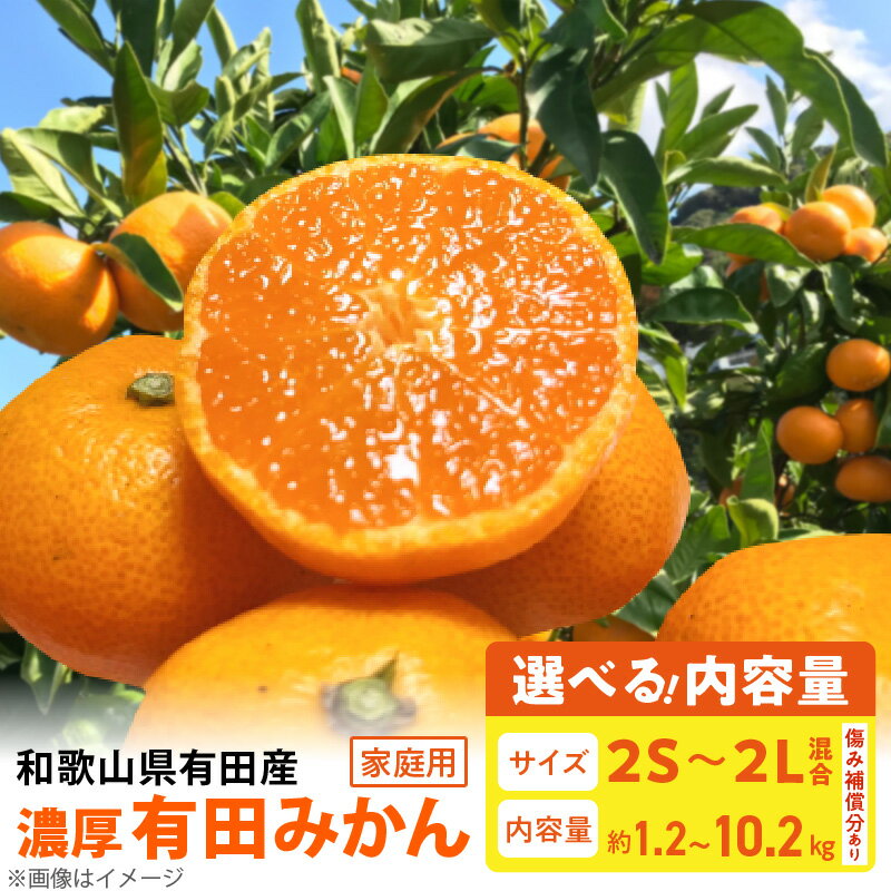 【ふるさと納税】【限定】 ご家庭