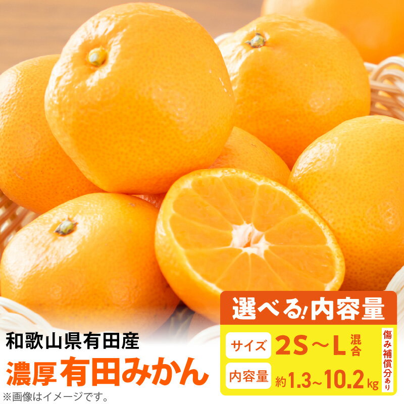 [限定] [農家直送] 濃厚 有田みかん サイズ2S-L 選べる容量 1.3kg 〜 10.2kg[ミカン 蜜柑 オレンジ 柑橘 温州みかん 和歌山 有田]