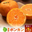 【ふるさと納税】【限定】【2026年先行予約】 ポンカン 5kg 訳あり 和歌山県 有田産 サイズ混合 極甘柑橘 濃厚 家庭用 甘味が強い 酸味少ない 人気品種 ジューシー みかん 柑橘 フルーツ 果物 お取り寄せ お取り寄せフルーツ 湯浅町 送料無料
