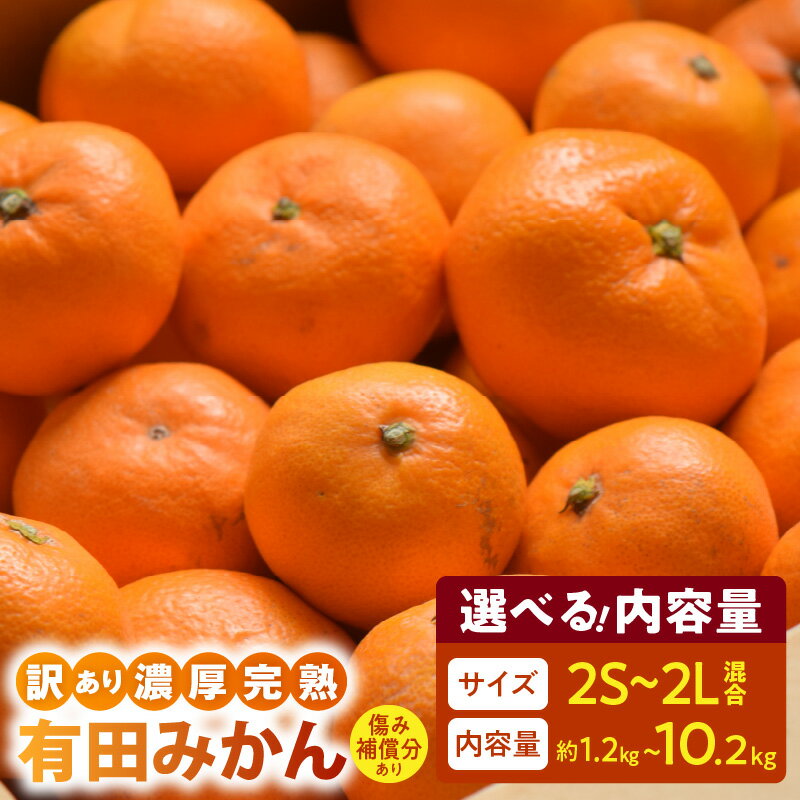 [限定][2025年 先行予約] 訳あり 有田みかん 選べる 容量 1.2kg 〜 10.2kg 補償分付 200g 込み 発送月 10 〜 1 月 2S 〜 2L サイズ 混合 家庭用 甘み 酸味 バランス 濃厚 完熟 鮮度 旬 お取り寄せ お取り寄せフルーツ 和歌山県 湯浅町 送料無料