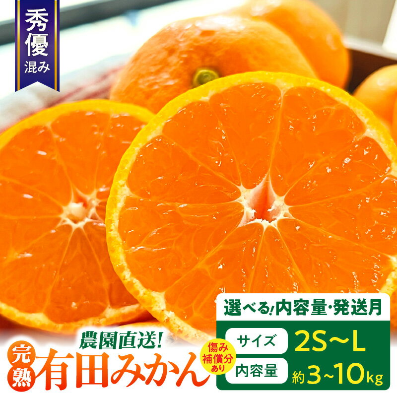[2025年先行予約][限定] 農園直送 完熟 有田みかん 秀優混み 選べる 発送月 11月 〜 1月 内容量 3kg 〜 10kg + 200g 補償分 2S 〜 L サイズ 混合 品種 おまかせ みかん 甘み 酸味 深い味わい フルーツ デザート お取り寄せ 和歌山県 湯浅町 送料無料