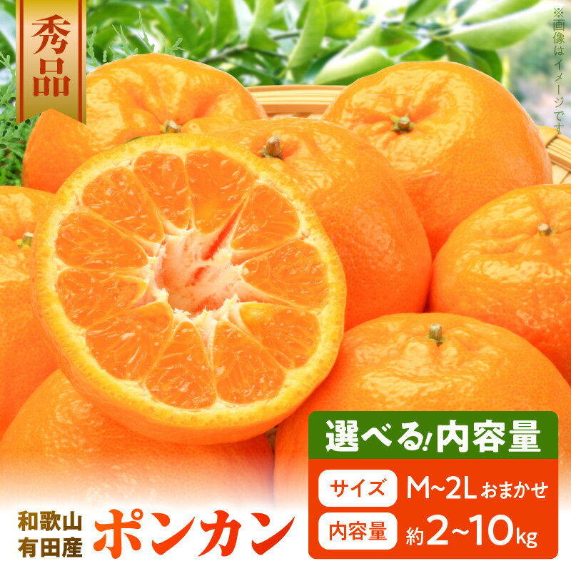 和歌山 有田産 ポンカン 秀品 選べる 内容量 2kg 〜 10kg M L 2L サイズ いずれか 和歌山県 有田地方 温暖 柑橘類 栽培 適した地域 根強い 人気 代表的 品種 みかん 強い 甘み 酸味 バランス 香り豊か 寒い冬 ぴったり 柑橘 フルーツ 果物 お取り寄せ