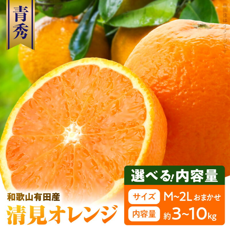 和歌山 有田産 清見オレンジ 青秀品 選べる 内容量 3kg 〜 10kg M L 2L サイズ いずれか 和歌山県 有田地方 温暖 柑橘類 栽培 適した地域 春 みかん 代表的 品種 甘み 酸味 バランス みずみずしい オレンジ 柑橘 フルーツ 果物 お取り寄せ