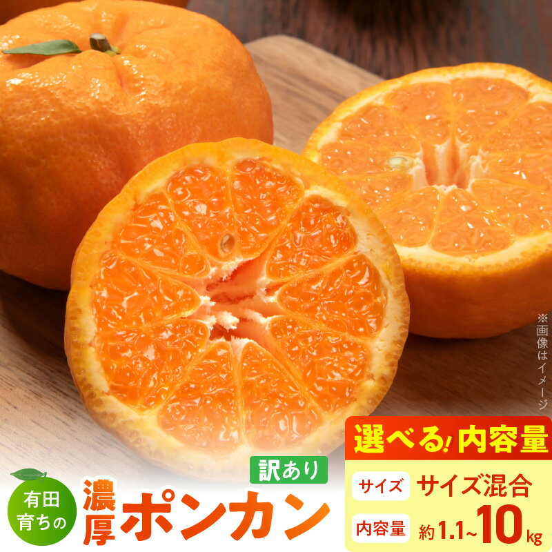 [限定] [2026年先行予約][極甘柑橘] 有田育ちの 濃厚 ポンカン [訳あり 家庭用]4kg (サイズ混合)