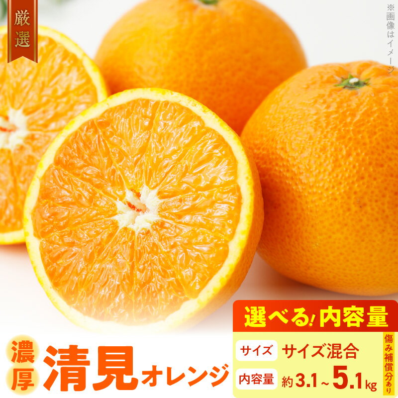 【ふるさと納税】【限定】 【2026年先行予約】厳選! 濃厚 清見オレンジ選べる内容量3.1kg～5.1kg（傷み..