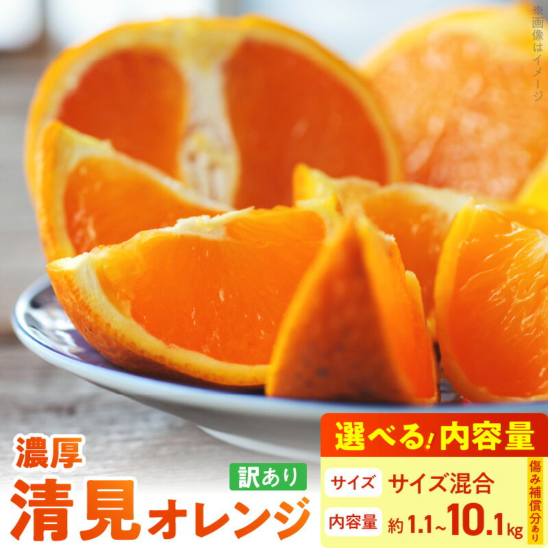【ふるさと納税】【限定】【2026年先行予約】 期間限定 清見 オレンジ 5kg ～ 10kg + 100g(傷み補償分)..