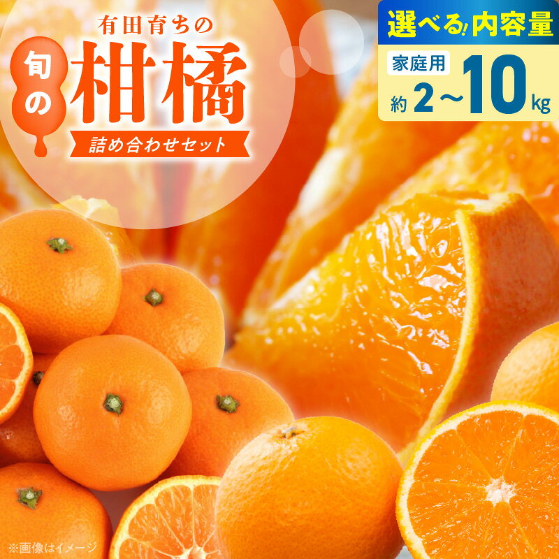 [限定] [2026年先行予約] 旬の柑橘 詰め合わせ セット 訳あり 選べる容量 2 〜 10kg 旬の美味 みかん名産地 和歌山 有田 有田育ちの ご家庭用