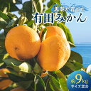 【ふるさと納税】【限定】 2025年先行予約 有田みかん 約9kg 混合 サイズ 早生 中生 晩生 甘み 濃い 旨み 味わい こだわり 有田 みかん 柑橘 果物 果実 フルーツ 産地直送 お取り寄せ グルメ お取り寄せグルメ 和歌山県 湯浅町 送料無料