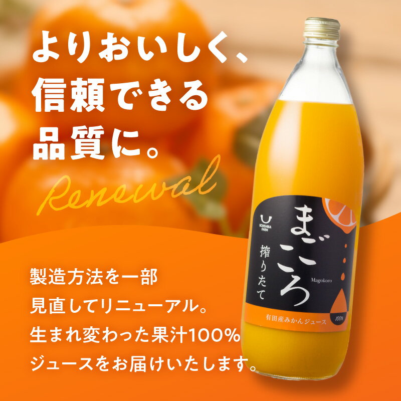 【ふるさと納税】リピーター続出！ 高評価★4.65 有田みかん ジュース 搾りたて 果汁 100％ ストレート みかんジュース 有田 みかん 温州みかん さっぱり 濃い 甘い 国産 飲料 飲み物 ドリンク お取り寄せ 和歌山県 湯浅町 送料無料