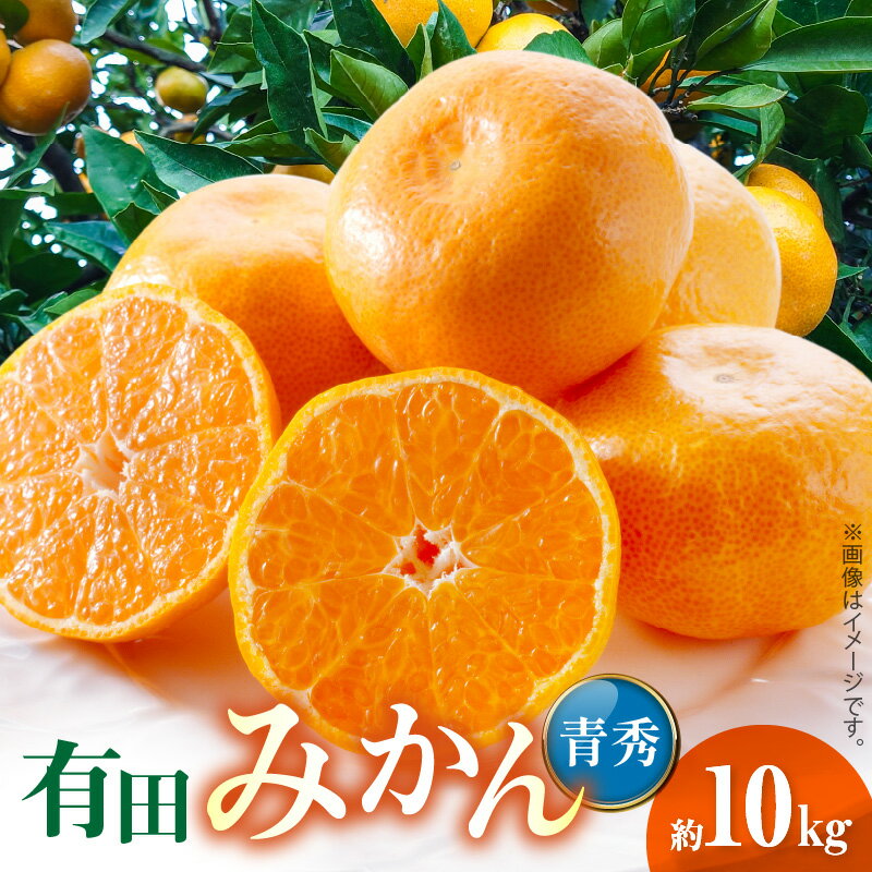 [限定] 2025年 先行予約 有田みかん 青秀 約10kg サイズ おまかせ 手作業 選別 程よい 酸味 早生 甘み 強い 中生 濃厚 晩生 みかん 柑橘 果物 果実 フルーツ 農家直送 ご当地 お取り寄せグルメ グルメ 和歌山県 湯浅町 送料無料